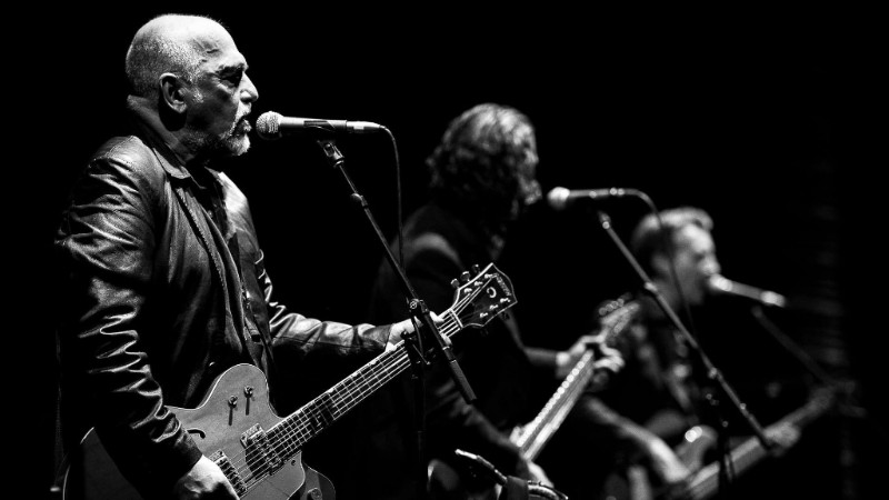 The ‘Black Sorrows’ sweep into Roxy - blog post image